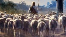 One Flock, One Shepherd